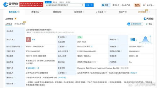 山东财金信融投资控股公司增资至85亿 财务信息咨询行业迎来新机遇与挑战